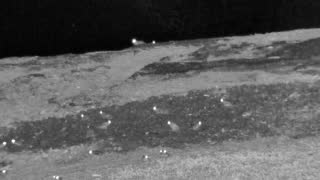 Still 2 from this detection