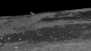 Still 2 from this detection