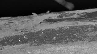 Still 1 from this detection