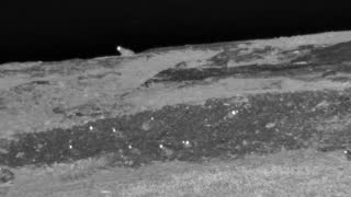 Still 1 from this detection