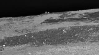 Still 1 from this detection