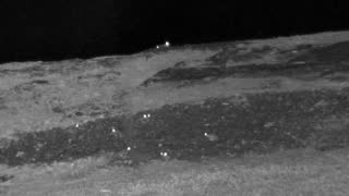 Still 1 from this detection