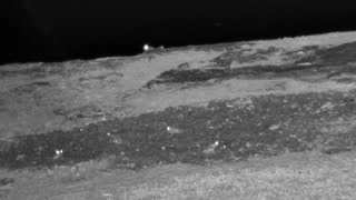Still 1 from this detection