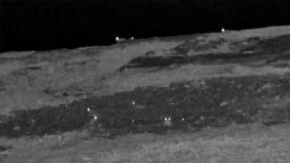 Still 1 from this detection