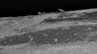 Still 3 from this detection