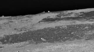 Still 1 from this detection