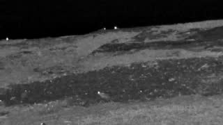 Still 2 from this detection