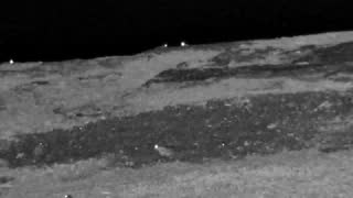 Still 3 from this detection