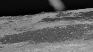 Still 1 from this detection