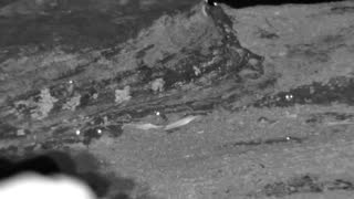 Still 2 from this detection