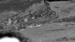 Still 3 from this detection
