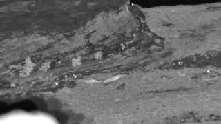 Still 1 from this detection