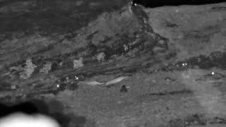 Still 2 from this detection