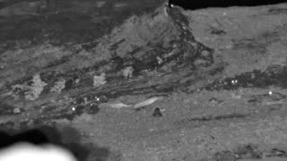 Still 3 from this detection