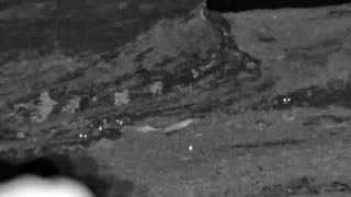 Still 2 from this detection