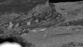 Still 3 from this detection