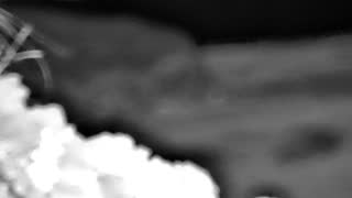 Still 2 from this detection