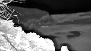 Still 1 from this detection