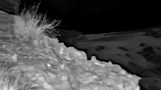 Still 2 from this detection