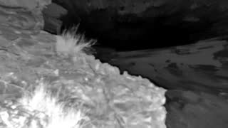 Still 3 from this detection