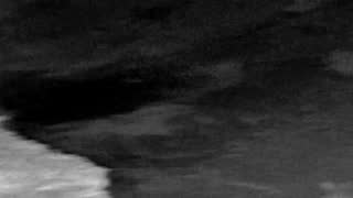 Still 1 from this detection