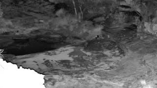 Still 3 from this detection