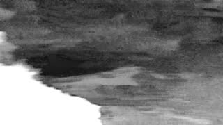Still 1 from this detection