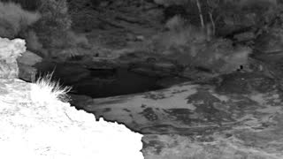 Still 3 from this detection