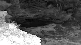 Still 2 from this detection