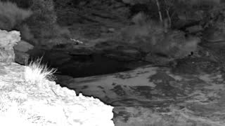 Still 3 from this detection