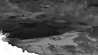 Still 1 from this detection