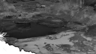 Still 2 from this detection