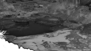 Still 3 from this detection