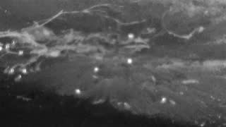Still 2 from this detection