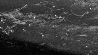 Still 2 from this detection