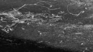 Still 3 from this detection