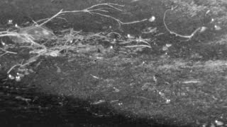 Still 3 from this detection