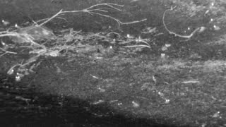 Still 2 from this detection