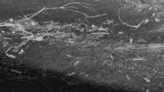 Still 3 from this detection