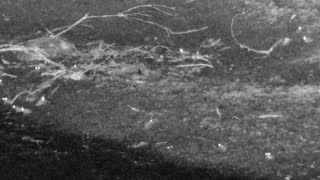 Still 2 from this detection