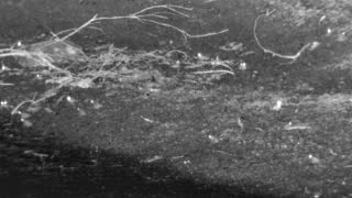 Still 2 from this detection