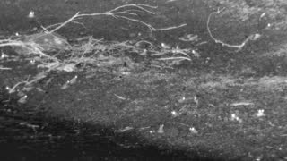 Still 2 from this detection