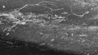 Still 3 from this detection