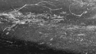Still 3 from this detection