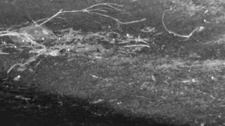 Still 3 from this detection