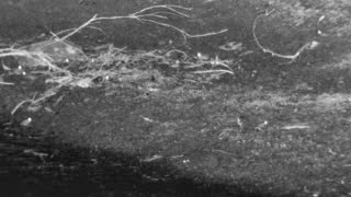 Still 2 from this detection