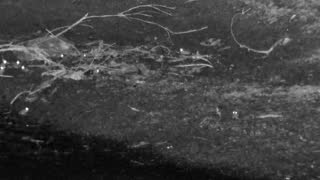 Still 2 from this detection