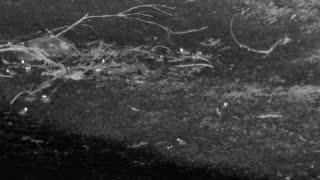 Still 3 from this detection