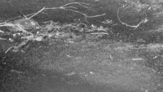 Still 3 from this detection