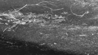 Still 1 from this detection